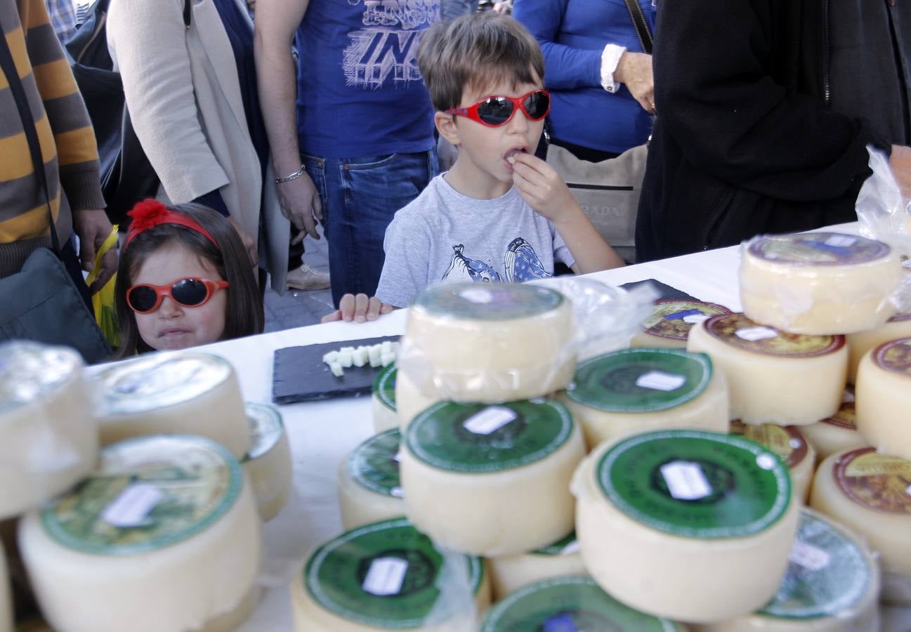 Todos los quesos de Asturias bajo el sol