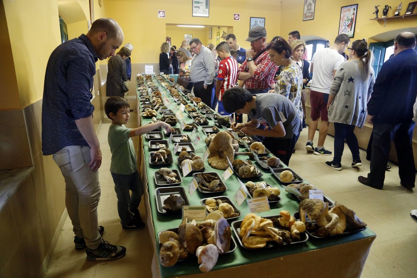 Las setas reinan en Pañeda