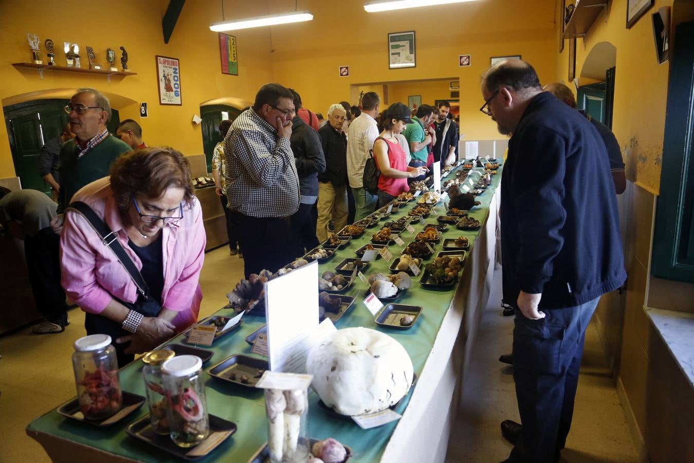 Las setas reinan en Pañeda