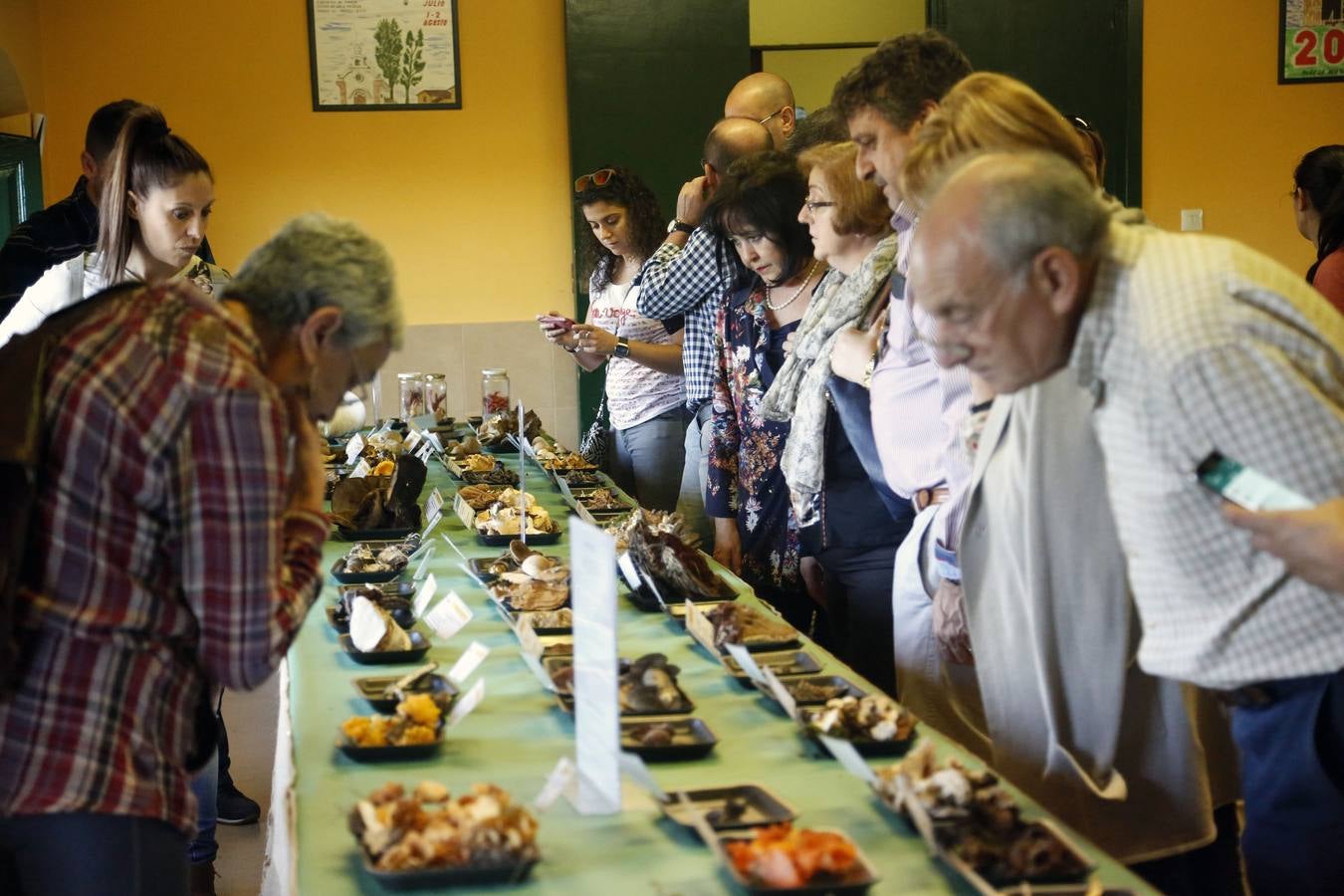 Las setas reinan en Pañeda