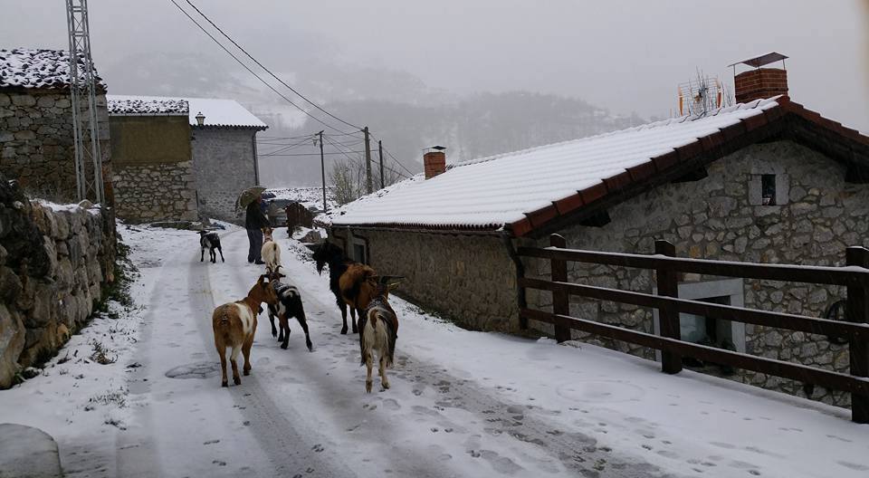 Los efectos de la llegada del frío a Asturias