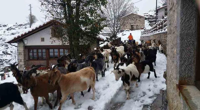 La localidad de Sotres, cubierta de nieve, este domingo.