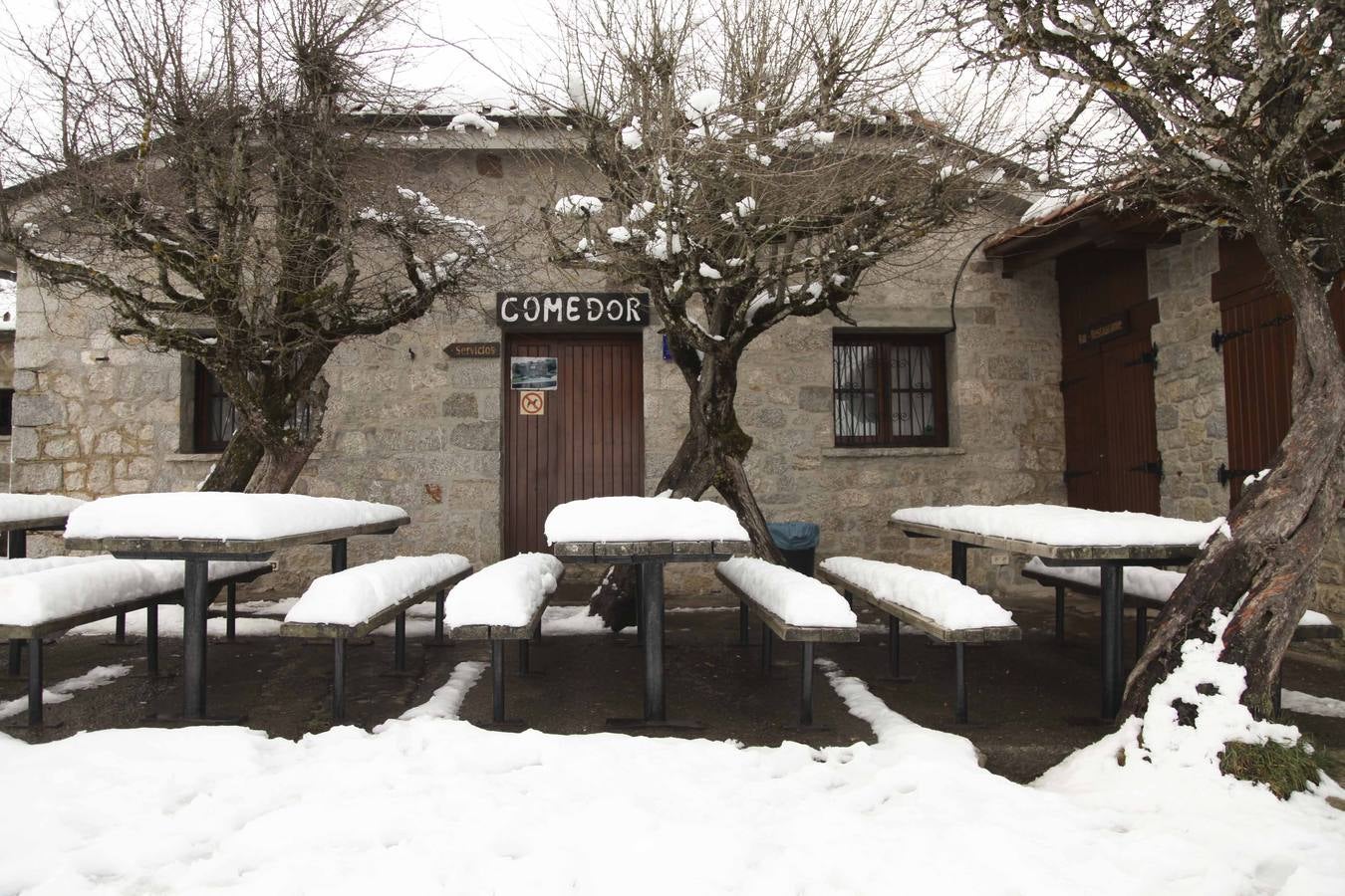 La nieve cubre Asturias