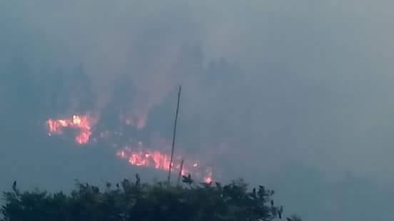 Incendios forestales en Asturias