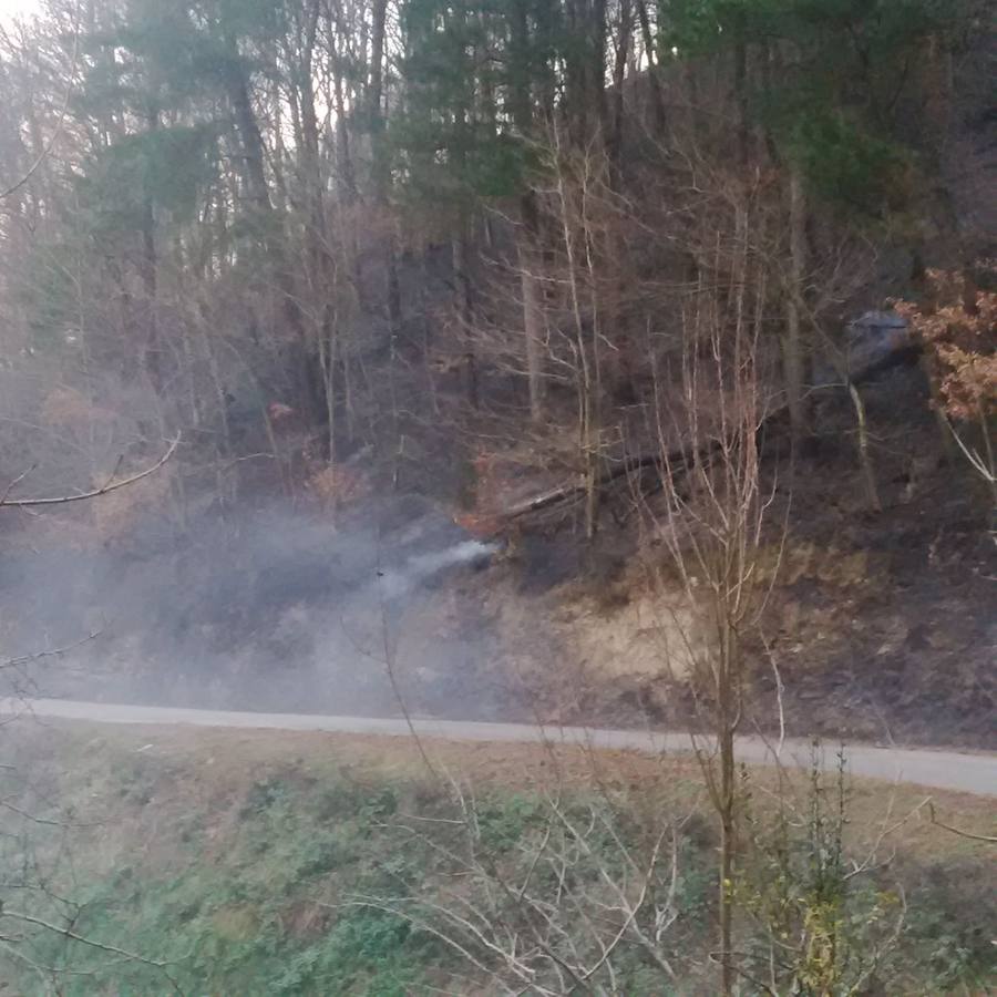 Incendios forestales en Asturias