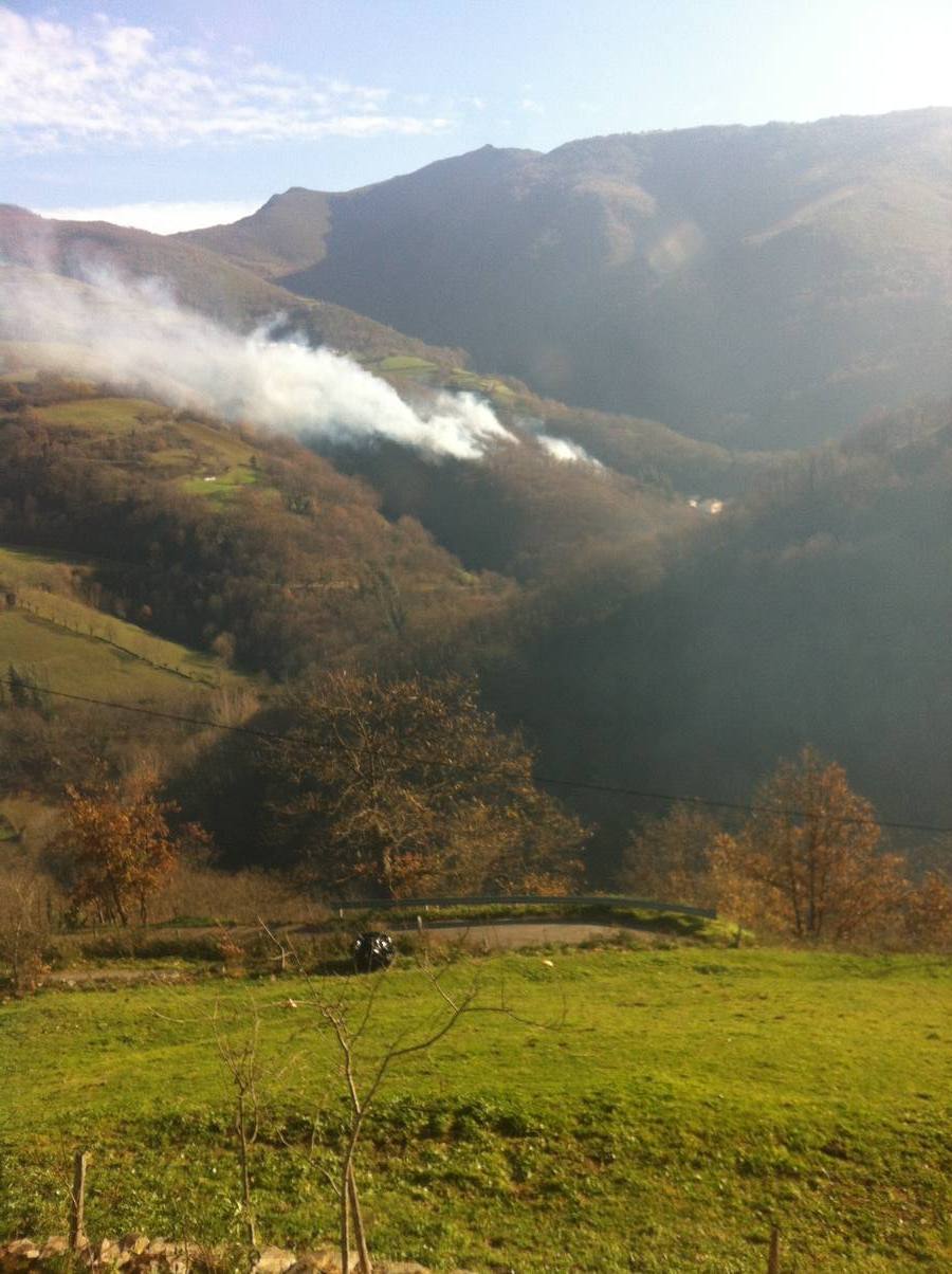 Los daños del fuego en Cangas del Narcea