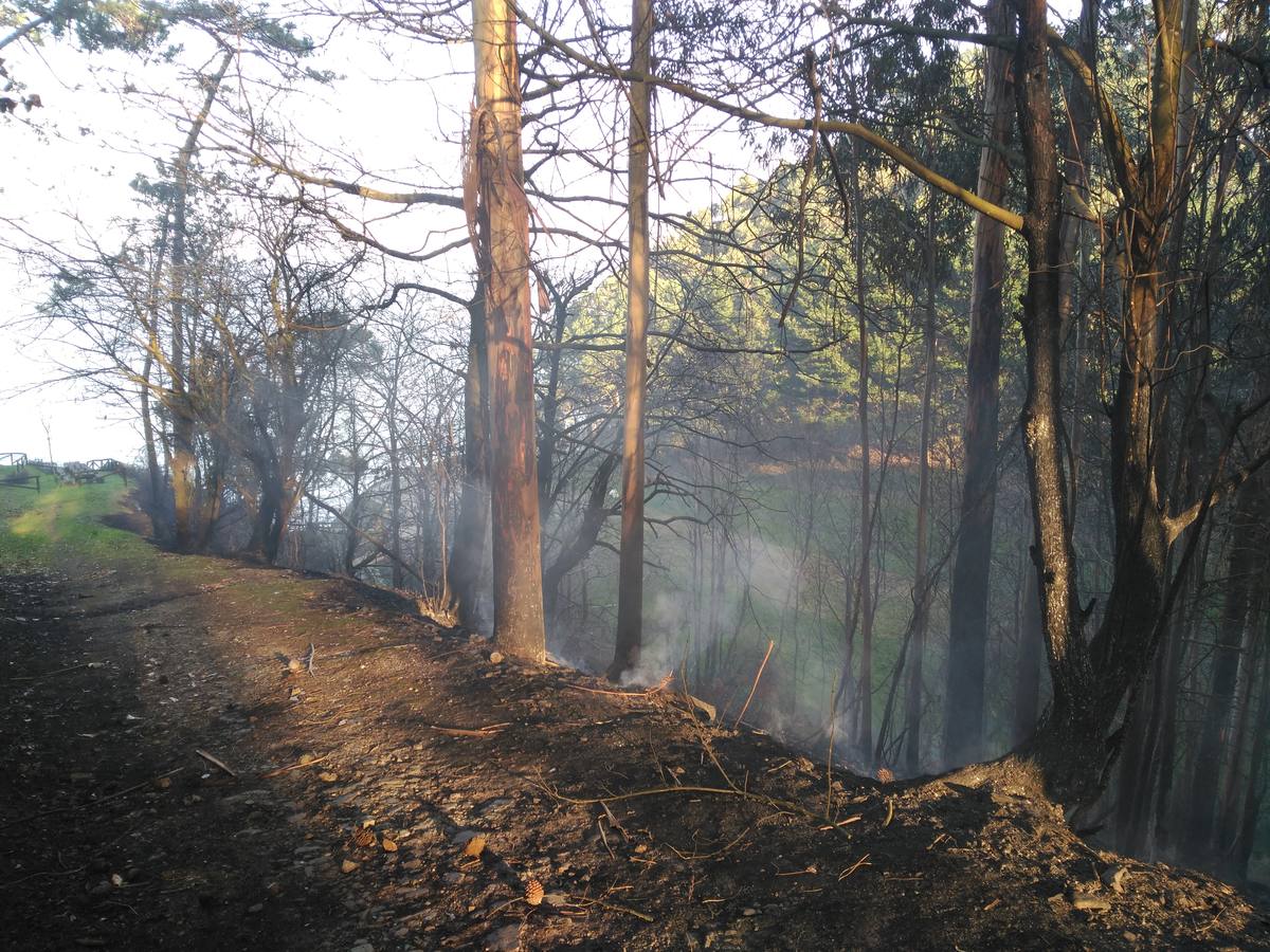 Los efectos del fuego en Coaña