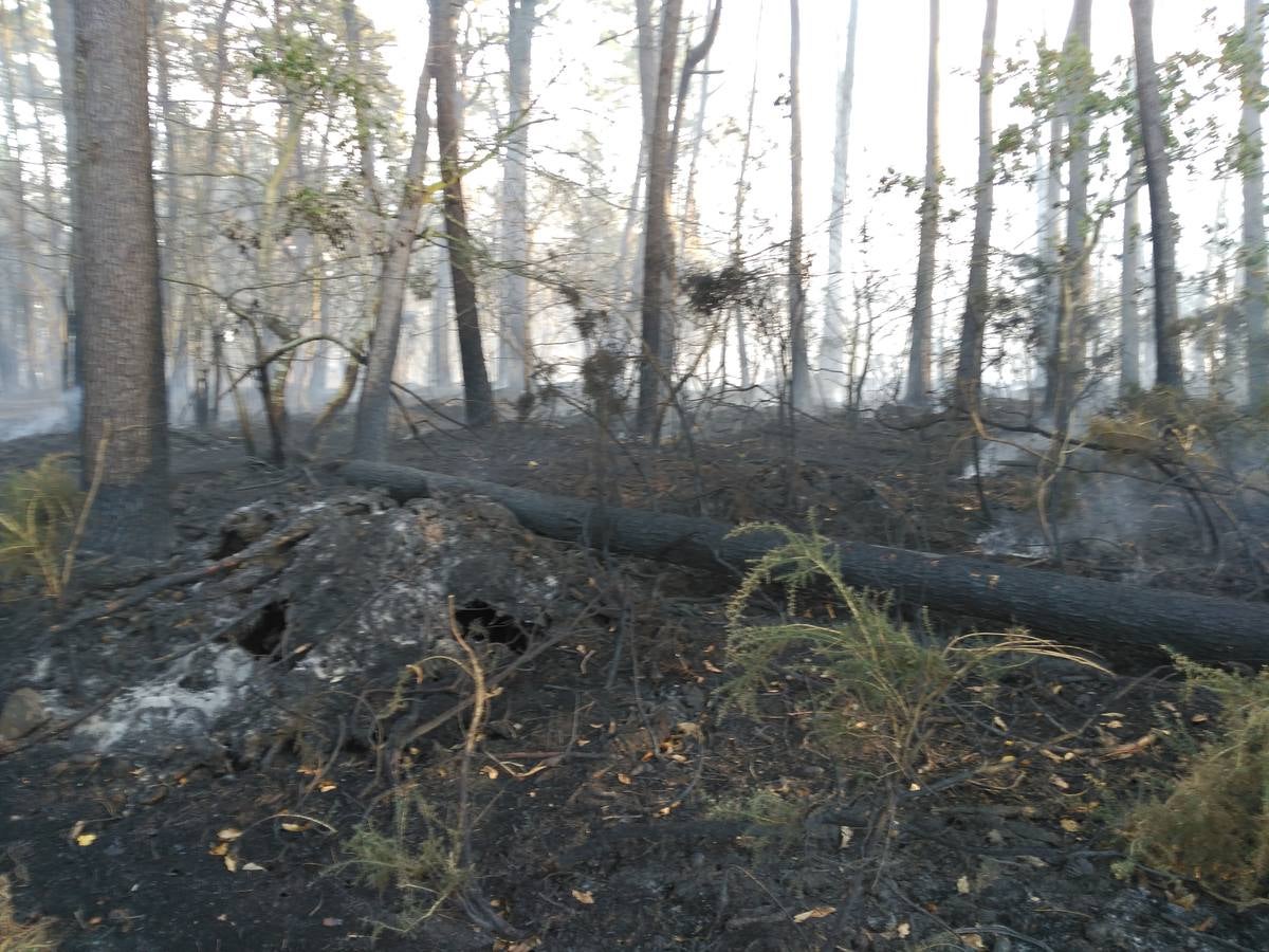 Los efectos del fuego en Coaña