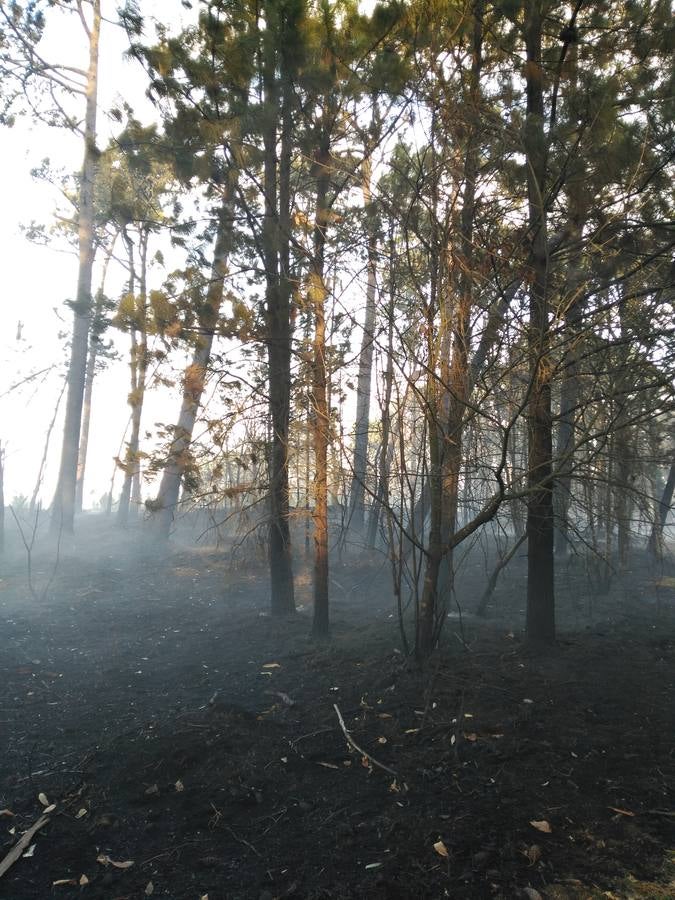 Los efectos del fuego en Coaña