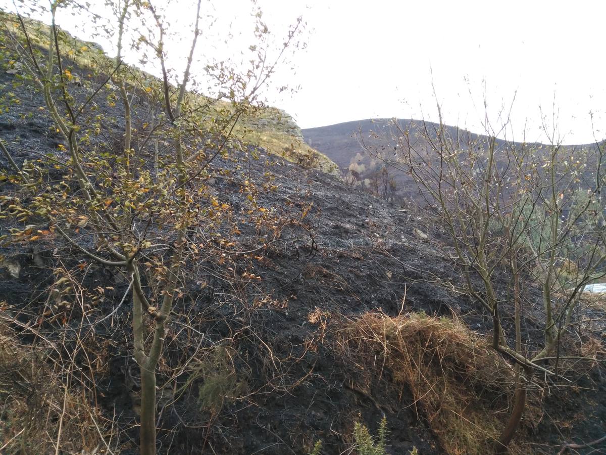 Los daños del fuego en Asturias