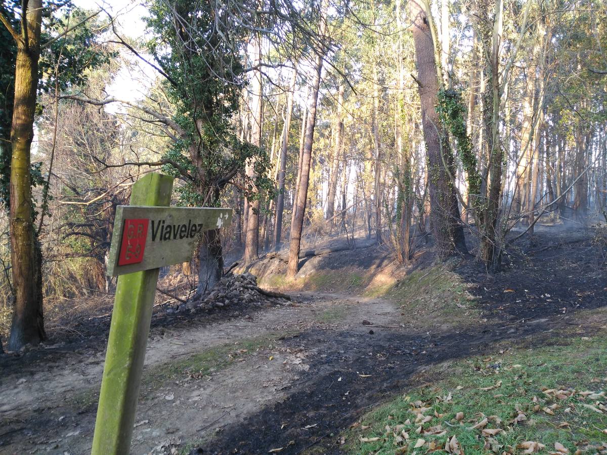 Los daños del fuego en Asturias