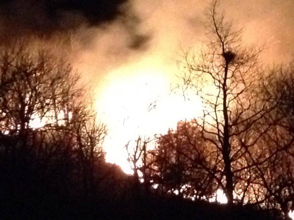 Incendios forestales en Asturias