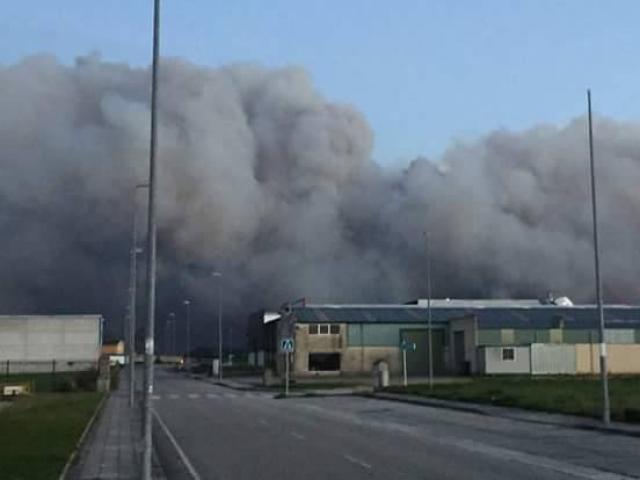 Las imágenes que dejan cinco días de lucha contra el fuego en Asturias