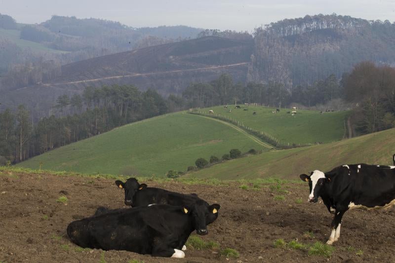 Occidente de Asturias.