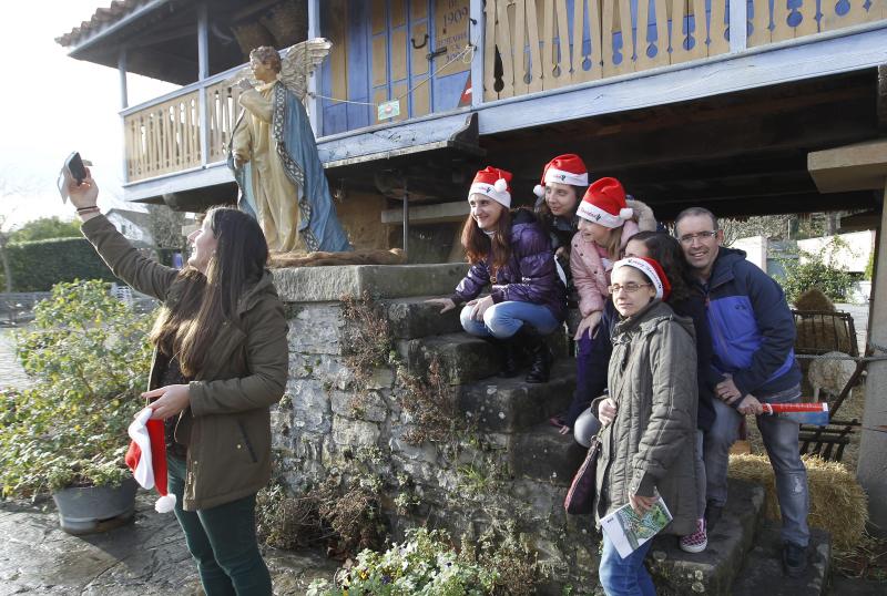 Jardín Botánico de Gijón.