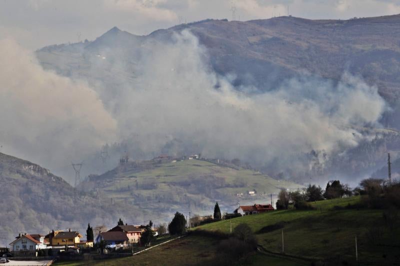 Bomberos y vecinos se arman contra el fuego