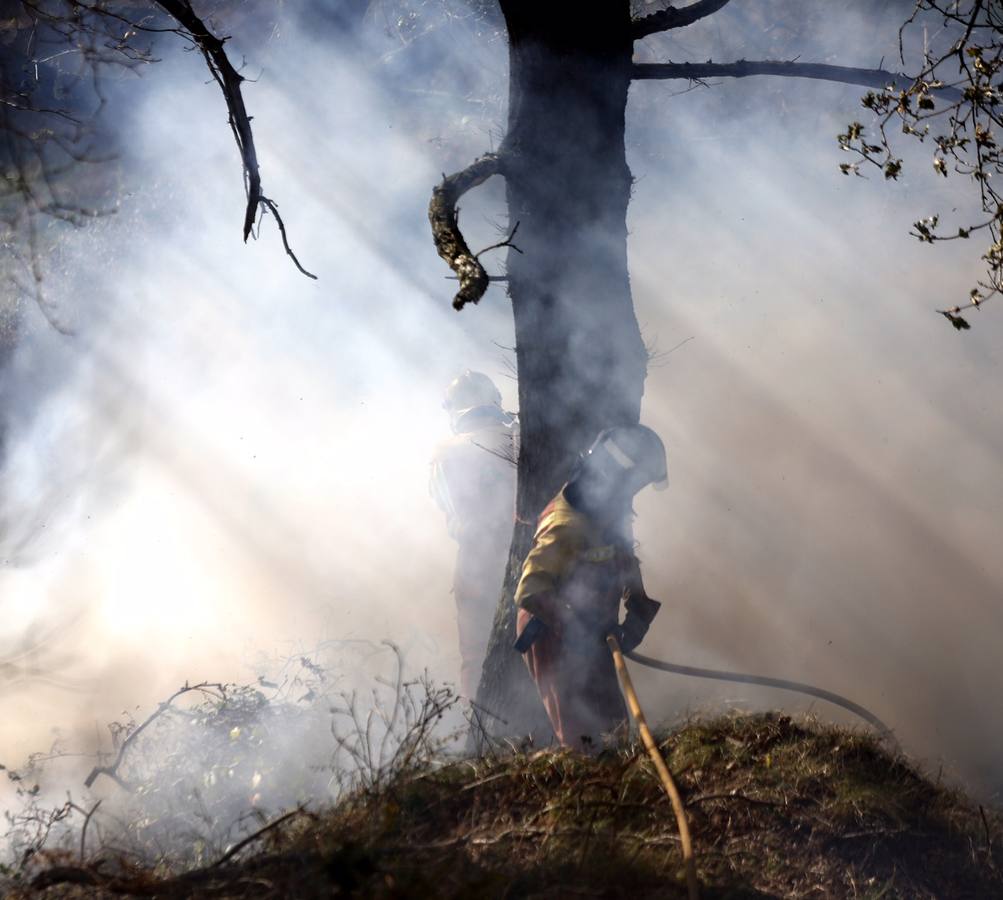 Bomberos y vecinos se arman contra el fuego