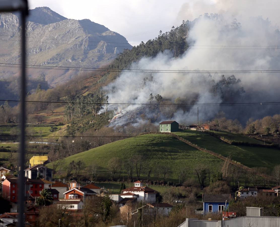 Bomberos y vecinos se arman contra el fuego