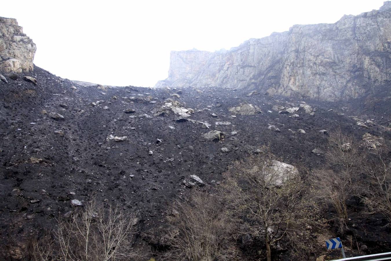 Los daños del fuego en Ponga