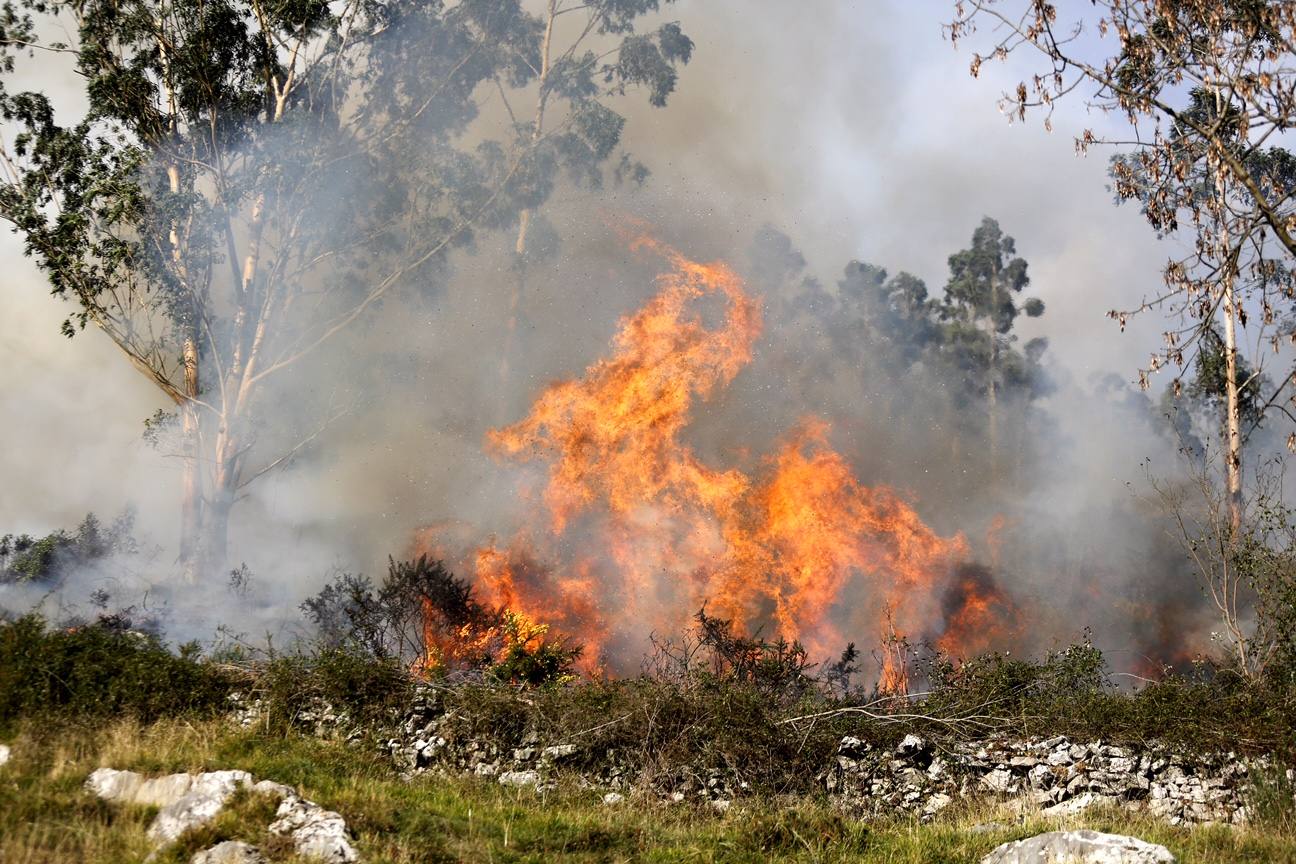 Espectacular incendio de Soto de Ribera