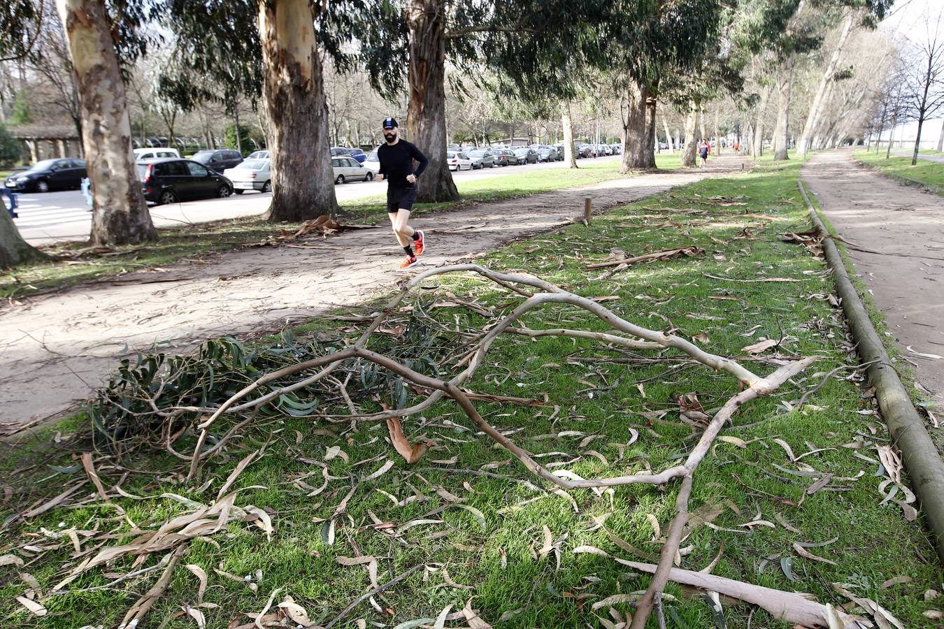 Las consecuencias del fuerte viento en Asturias