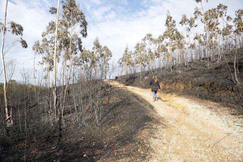 Así están los alrededores de La Fresneda tras el incendio que cercó la urbanización