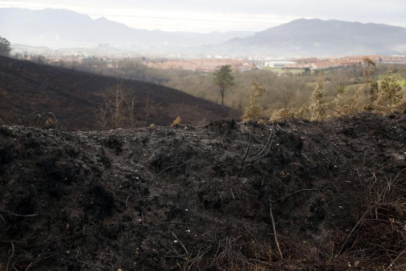 Así están los alrededores de La Fresneda tras el incendio que cercó la urbanización