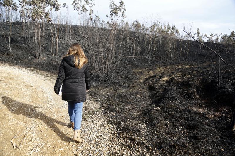 Así están los alrededores de La Fresneda tras el incendio que cercó la urbanización