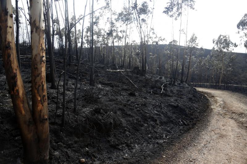 Así están los alrededores de La Fresneda tras el incendio que cercó la urbanización