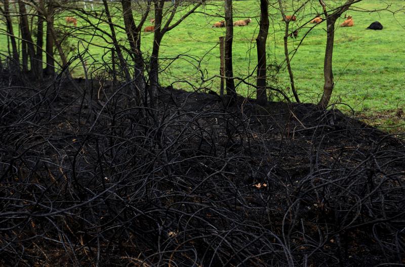 Así están los alrededores de La Fresneda tras el incendio que cercó la urbanización