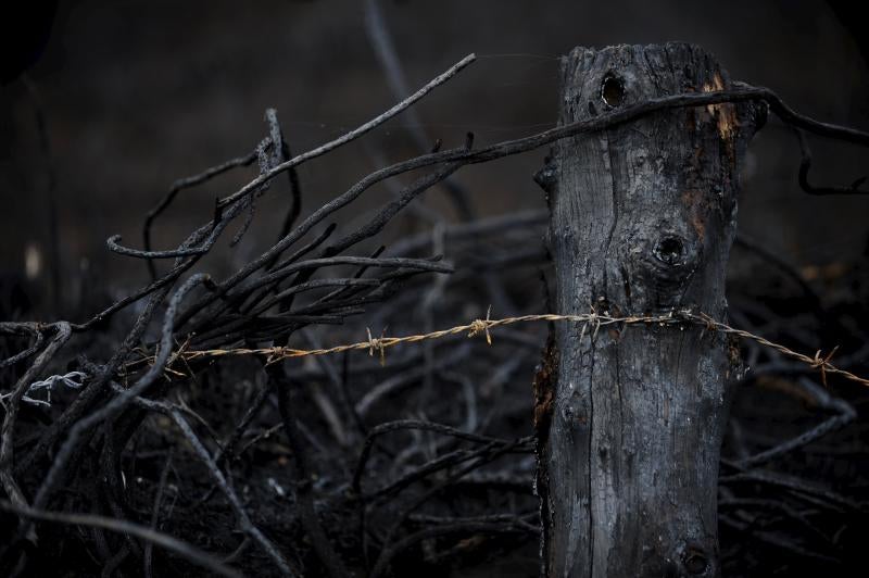 Así están los alrededores de La Fresneda tras el incendio que cercó la urbanización