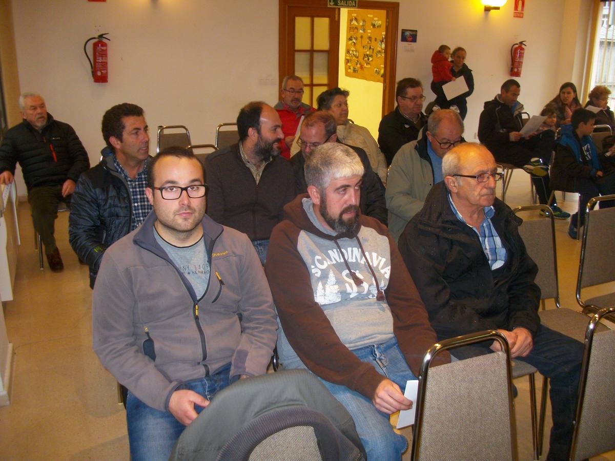 Exposición regional de palomas mensajeras en El Franco