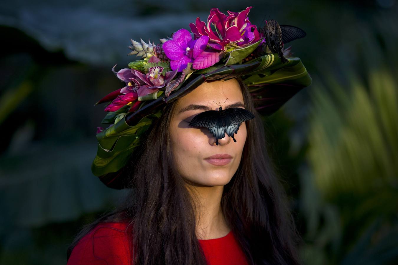 Exposición de mariposas