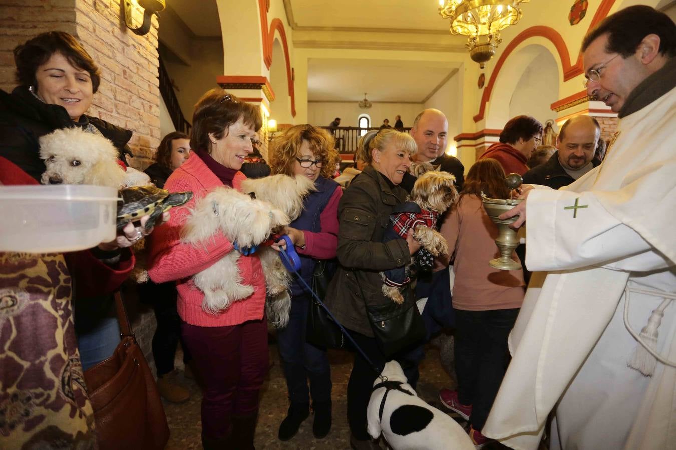 Bendición de las mascotas en Parres