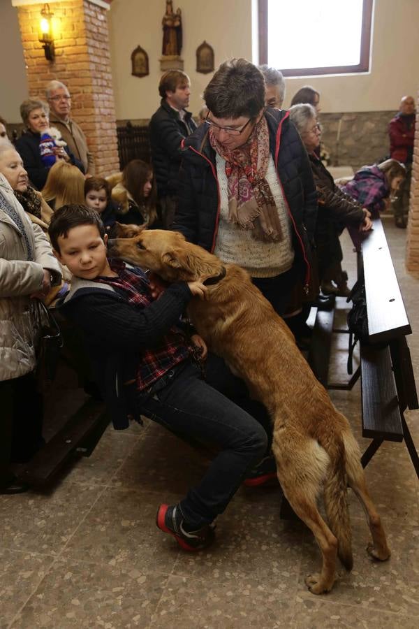 Bendición de las mascotas en Parres