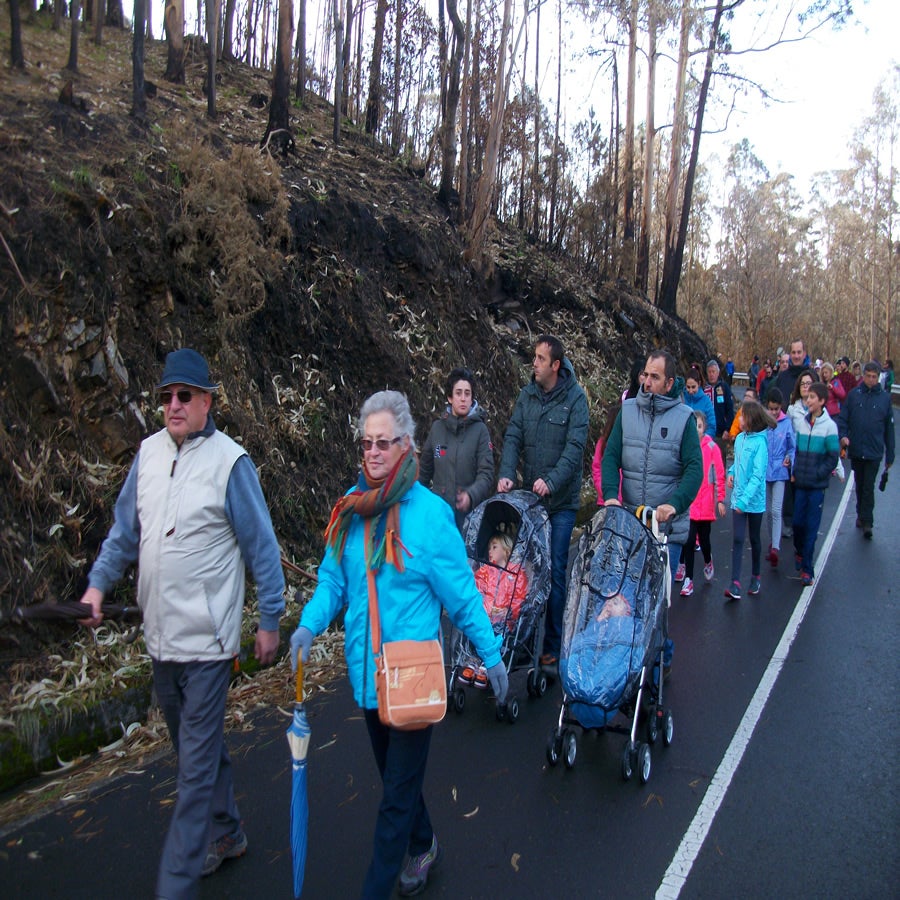 Marcha solidaria por los incendios del Occidente