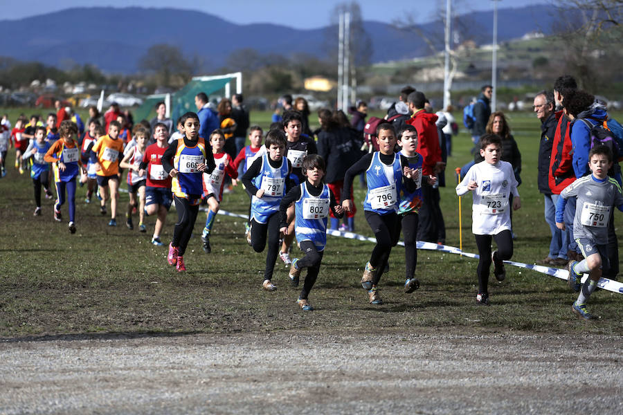 1.400 escolares se disputan el mejor puesto de campo a través