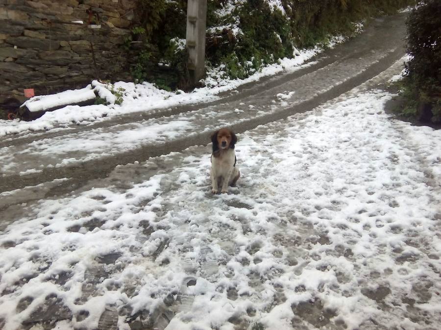 La nieve se acumula en el Suroccidente