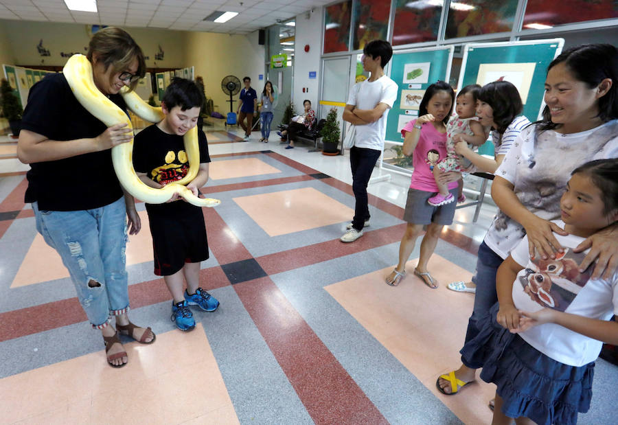 Concurso de mascotas exóticas