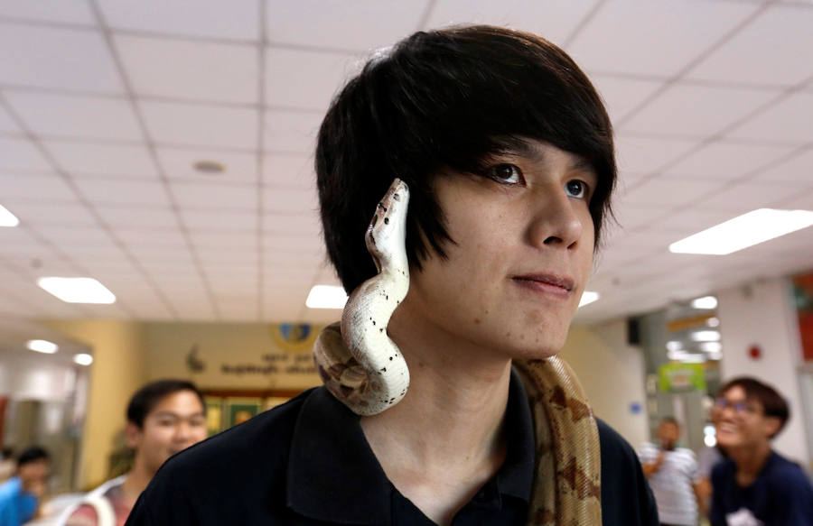 Concurso de mascotas exóticas