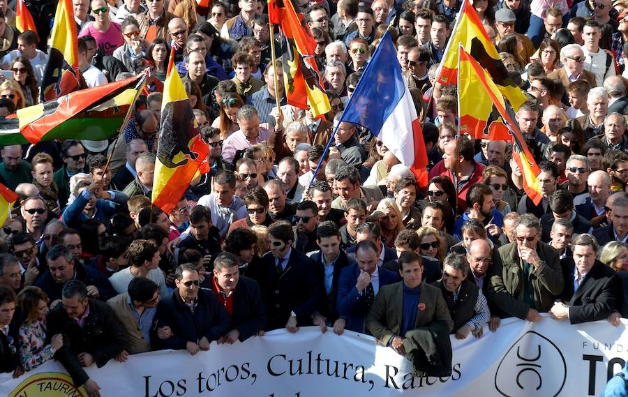 La manifestación pro taurina, en imágenes