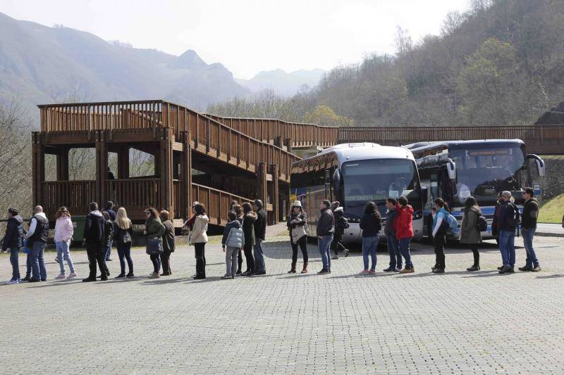 Cientos de personas han aprovechado el plan especial de transporte para disfrutar de los lagos de Covadonga, cubiertos por la nieve.