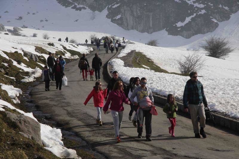 Cientos de personas han aprovechado el plan especial de transporte para disfrutar de los lagos de Covadonga, cubiertos por la nieve.