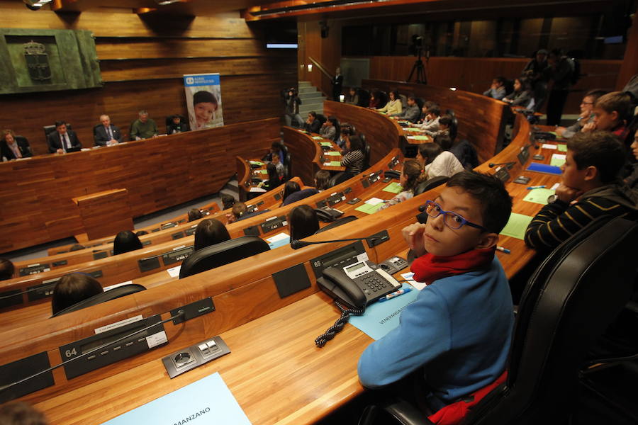 La Junta General del Principado abre sus puertas a los niños