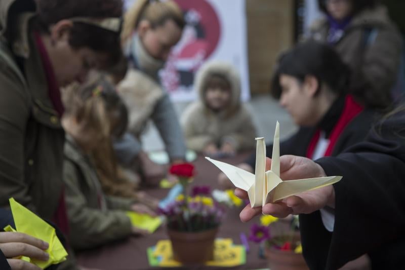 Flores de papel en el Botánico