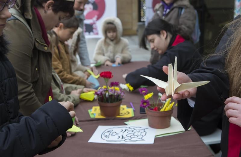 Flores de papel en el Botánico