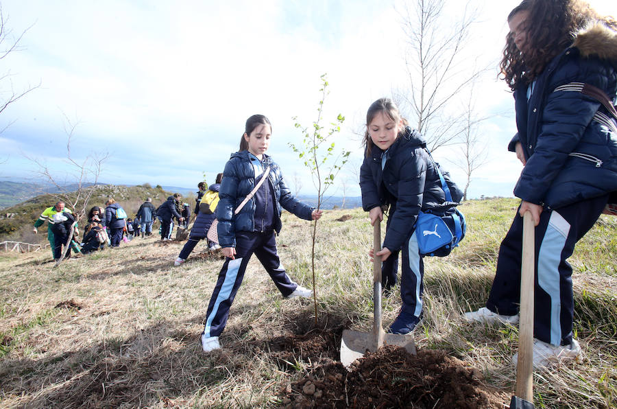 El colegio Amor de Dios celebra la Semana del Árbol