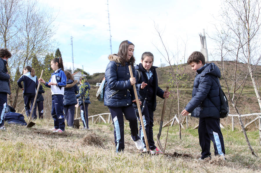 El colegio Amor de Dios celebra la Semana del Árbol