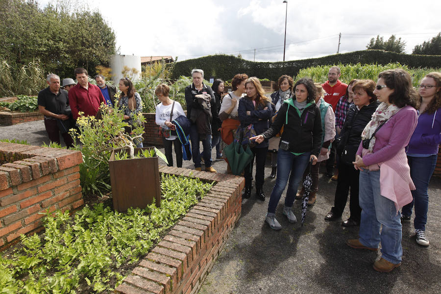 Jornada de puertas abiertas en el Jardín Botánico de Gijón