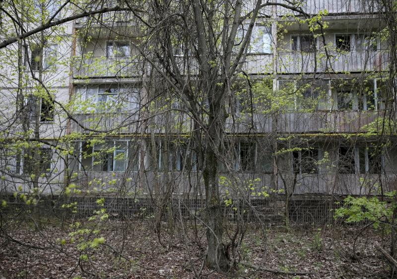 Chernobyl, 30 años después